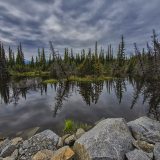 Tetlin National Wildlife Refuge, Alaska