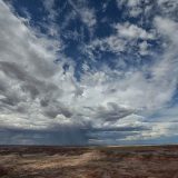 Petrified Forest N.P.