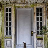 kat voor voordeur